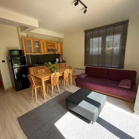 Hrube Parter Z Tarasem I Kominkiem Apartament Zakopane
